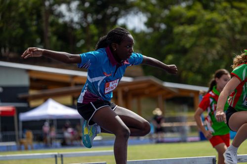 Springwood Sharks Hurdles